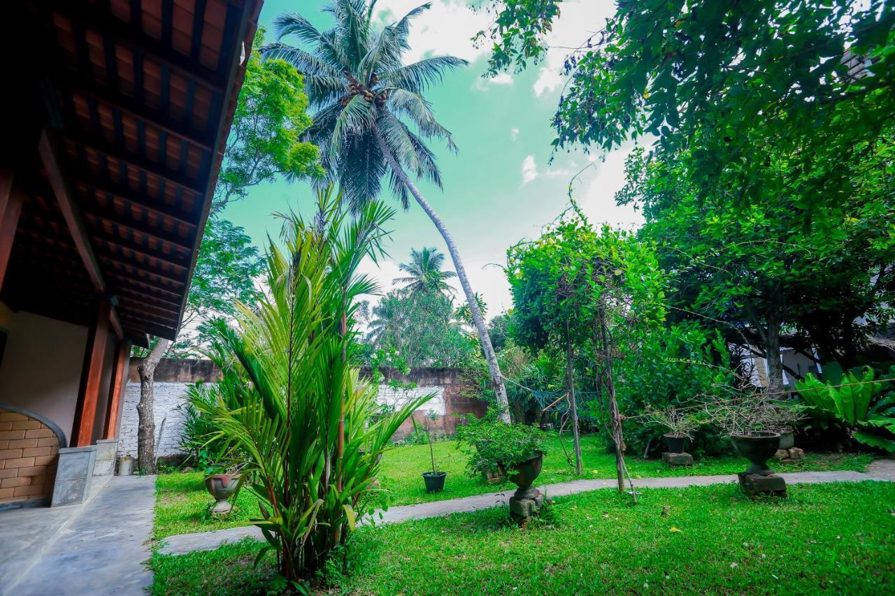 Dandelion - Unawatuna Bagian luar foto